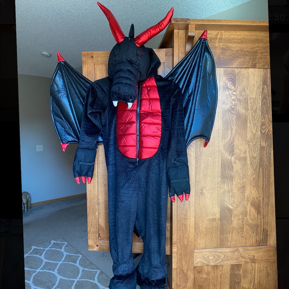 Dragon Costume